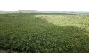 Imagem 4: Fazenda bruta para venda no Norte de Minas na região de Montalvania-MG com 4.300 hectares