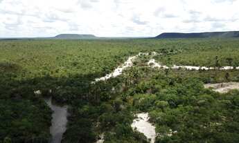 Imagem 3: Fazenda bruta para venda no Norte de Minas na região de Montalvania-MG com 4.300 hectares