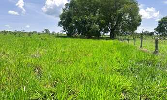 Imagem: Fazenda dupla aptidão para venda na região