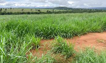 Imagem: Fazenda dupla aptidão para venda na região