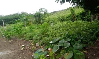 Imagem: Fazenda bruta para venda na região de Gentio