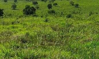 Imagem: Fazenda para venda na região de Sonora-MS