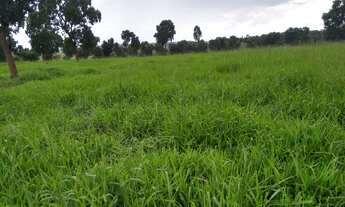 Imagem: Fazenda para venda na região de Paranaiba-MS