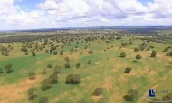 Imagem: Ótima fazenda na pecuaria para venda em