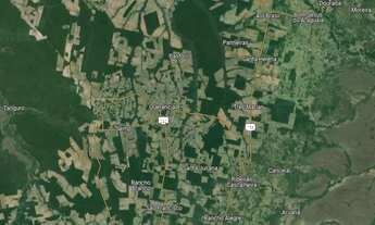 Imagem: Fazenda bruta grande extensão para venda