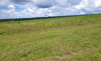Imagem: Fazenda dupla aptidao para venda na região