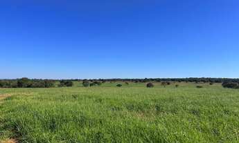 Imagem: Fazenda para venda na região de Inocencia-MS