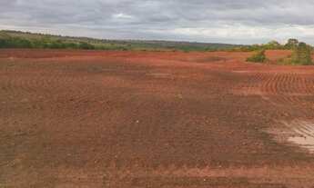 Imagem 2: Fazenda dupla aptidao para venda na região de Barra do Garças-MT com 990 hectares, montada