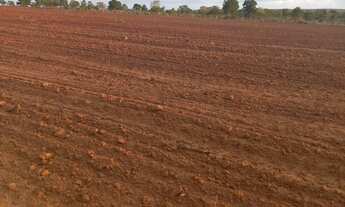 Imagem 3: Fazenda dupla aptidao para venda na região de Barra do Garças-MT com 990 hectares, montada