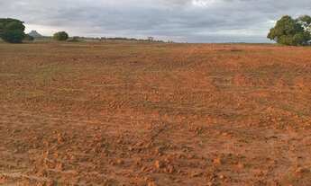 Imagem: Fazenda dupla aptidao para venda na região