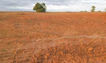 Imagem 6: Fazenda dupla aptidao para venda na região de Barra do Garças-MT com 990 hectares, montada