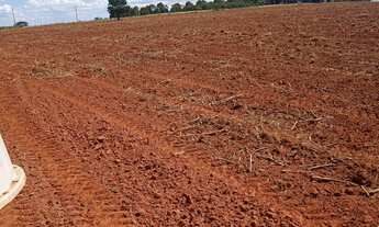 Imagem 2: Fazenda na pecuária para venda na região de Presidente Prudente-SP com 126 alqueires, conf