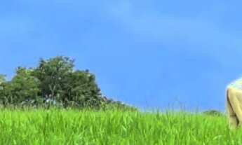 Imagem 1: Fazenda dupla aptidão para venda em Campina Verde-MG com 222 hectares na pecuária, aprovei