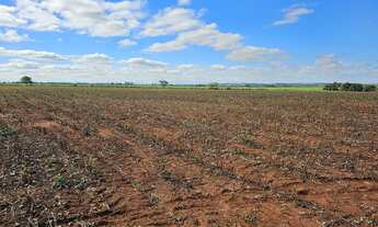 Imagem: Fazenda para venda na região de Presidente