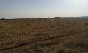 Imagem 2: Fazenda dupla aptidao para venda na região de Paranaiba-MS com 535 alqueires SP montada na