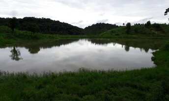 Imagem 3: Fazenda de eucalipto para venda na região de Sete Barras-SP com 265 alqueires sendo 30 alq