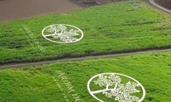 Imagem: Lançamento de lotes em Brodowski-SP, Jardim
