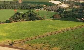 Imagem 4: Lançamento de lotes em Brodowski-SP, Jardim dos Ipês, lote com 242 m2, infraestrutura comp