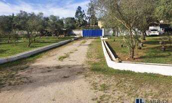 Imagem: Excelente galpão industrial para venda