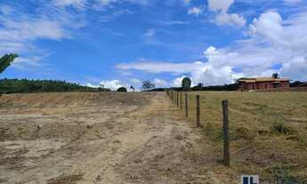 Imagem 7: Excelente lote para rancho a venda em Delfinopolis-SP com 7.000 m2 de área, mais de 30 m d