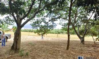 Imagem 5: Excelente lote para rancho a venda em Delfinopolis-SP com 7.000 m2 de área, mais de 30 m d