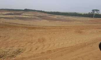 Imagem: Sitio para venda na região de Catanduva-SP