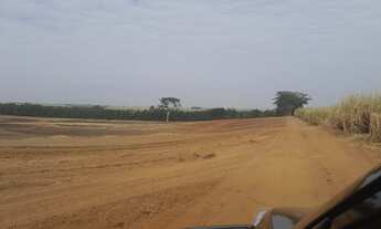 Imagem 2: Sitio para venda na região de Catanduva-SP com 10 alqueires sendo 7 alqueires em cana com