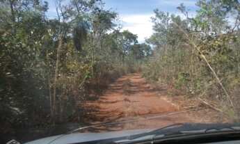 Imagem 6: Fazenda para venda na região de Humberto de Campos-MA com 12.500 hectares sendo 10.000 hec