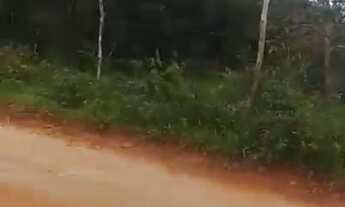 Imagem 5: Fazenda para venda na região de Humberto de Campos-MA com 12.500 hectares sendo 10.000 hec