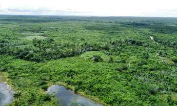 Imagem: Fazenda para venda na região de Humberto