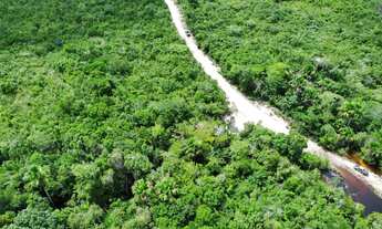 Imagem 2: Fazenda para venda na região de Humberto de Campos-MA com 12.500 hectares sendo 10.000 hec