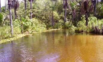 Imagem 4: Fazenda para venda na região de Humberto de Campos-MA com 12.500 hectares sendo 10.000 hec
