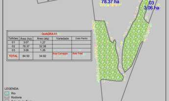 Imagem 3: Fazenda dupla aptidao para venda na região de Votuporanga-SP com 53 alqueires, atual na pe