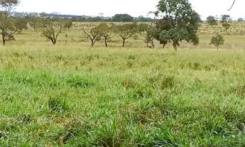 Imagem: Fazenda dupla aptidao para venda na região
