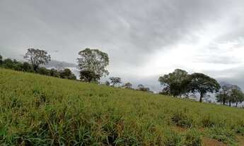 Imagem 2: Fazenda dupla aptidao para venda na região de Cassilandia-MS com 112 alqueires, benfeitori
