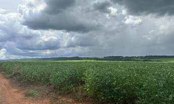 Imagem 3: Fazenda historica para venda na região de Sete Barras-SP com 270 alqueires na pecuária e o