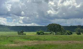Imagem 7: Fazenda historica para venda na região de Sete Barras-SP com 270 alqueires na pecuária e o