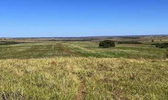 Imagem 6: Fazenda historica para venda na região de Sete Barras-SP com 270 alqueires na pecuária e o
