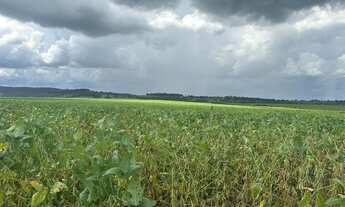 Imagem 2: Fazenda historica para venda na região de Sete Barras-SP com 270 alqueires na pecuária e o
