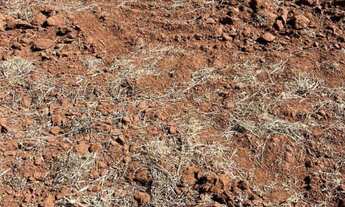 Imagem 4: Fazenda historica para venda na região de Sete Barras-SP com 270 alqueires na pecuária e o