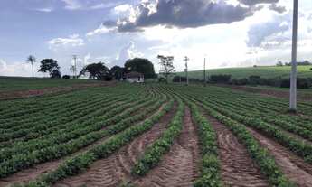 Imagem: Ótimo sitio para venda na região de Taquaritinga-SP