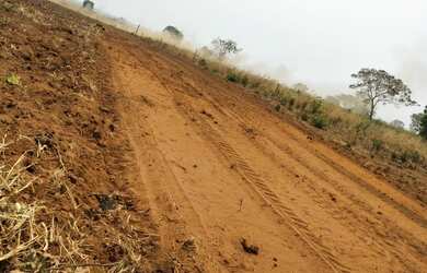 Imagem 4: Fazenda para venda na região de Querencia-MT com 760 hectares sendo 600 hectares abertos e