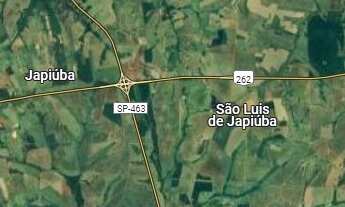 Imagem: Fazenda para venda na região de Auriflama-SP