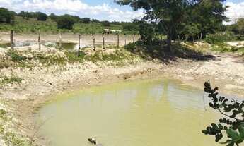 Imagem 6: Fazenda dupla aptidão para venda em Santa Rita de Cassia-BA com 520 hectares sendo 400 hec
