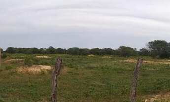 Imagem 3: Fazenda dupla aptidão para venda em Santa Rita de Cassia-BA com 520 hectares sendo 400 hec