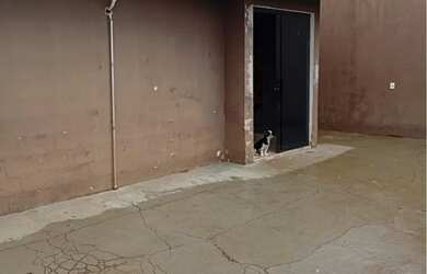 Imagem 6: Casa para venda no Planalto Verde / Paulo Gomes Romeo, 3 dormitorios, amplo quintal, área