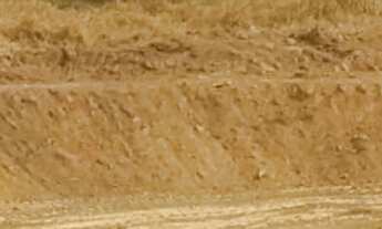 Imagem 4: Chácara em Condomínio - 3 quartos, 1 suíte, 3 banheiros, 10 vagas - Haras Paineiras, Salt