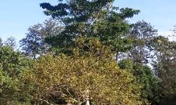 Imagem 3: Chácara em Condomínio - 3 quartos, 1 suíte, 3 banheiros, 10 vagas - Haras Paineiras, Salt