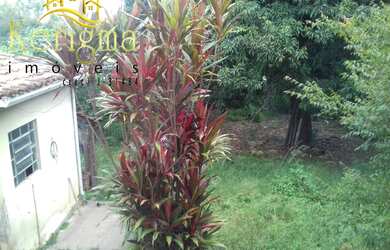 Imagem 7: Casa para Venda no Centro de Salto-SP: 2 Quartos, 2 Salas, 1 Banheiro, 1 Vaga de Garagem