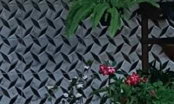 Imagem: Imperdível oportunidade de investimento